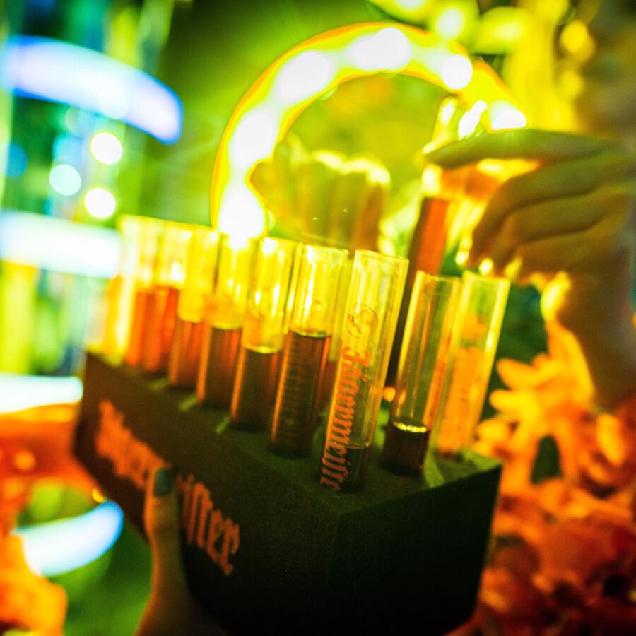 Fotografia koncertowa